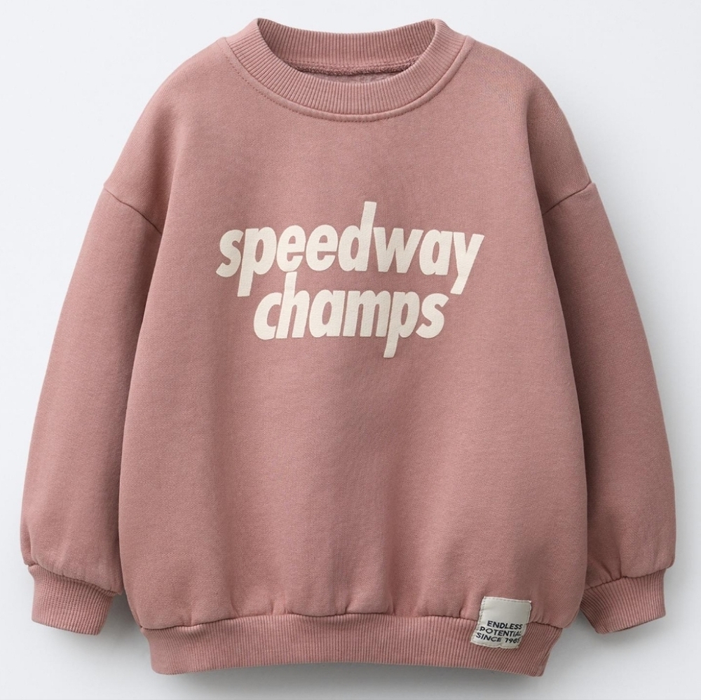 ZARA Dust Pink Speedway Sweatshirt